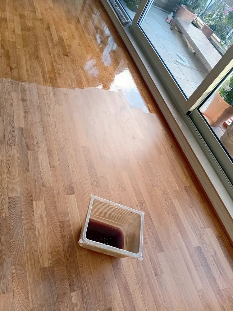 Parquet partiellement vitrifié, bois brut en bas de l’image
